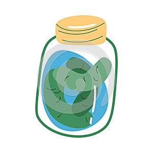 Products in jar containing probiotics for good microflora in stomach