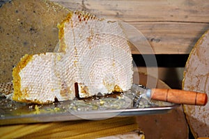 Products of livelihoods of bees. Products of beekeeping.