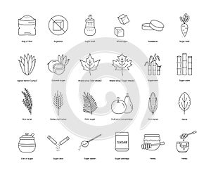 Products and plants from which sugar is made A set of line icons in vector includes images such as beets and agave, cane