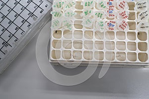 The products samples including RNA and protein are collected in 1.5ml of microtube and put them on the cryovial storage box.