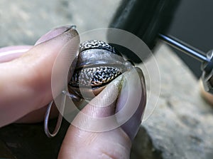 Profession jeweler. Craft jewelery making. Hands of a jeweller . Handwork . Close up.