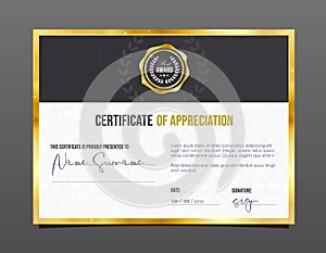 Professional achievement certificate. Template diploma with luxury and pattern.