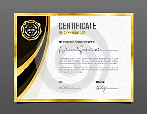 Professional achievement certificate. Template diploma with luxury and pattern.