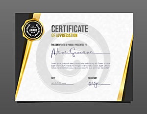 Professional achievement certificate. Template diploma with luxury and pattern.