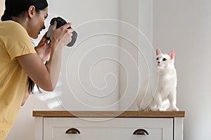 Professional animal photographer taking picture of white cat indoors