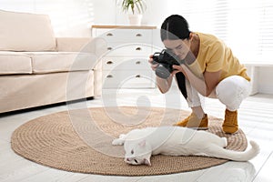 Professional animal photographer taking picture of white cat indoors