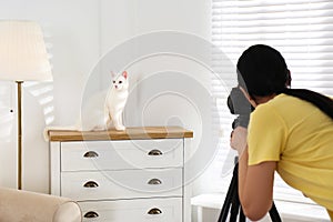 Professional animal photographer taking picture of white cat indoors, closeup