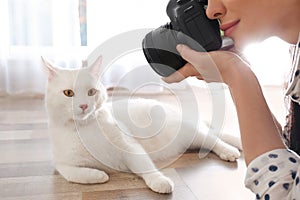 Professional animal photographer taking picture of white cat indoors, closeup