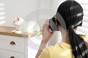 Professional animal photographer taking picture of white cat indoors