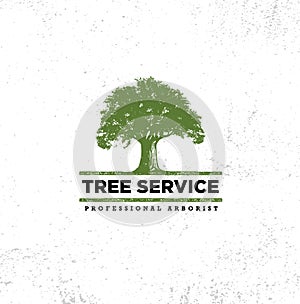 Professional Arborist Tree Care Service Organic Eco Sign Concept. Landscaping Design Raw Vector Illustration