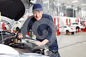 Professional auto mechanic.