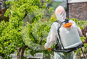 Professional Backyard Garden Insecticide Job photo