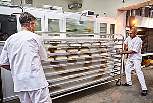 Professional baker in uniform inserts cart with decks for baking raw dough to make bread in an industrial oven in a bakery