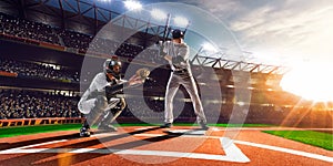 Professional baseball players on grand arena photo