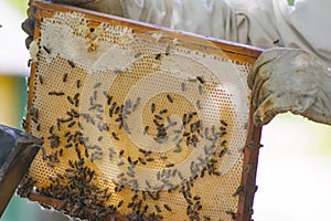 professional beekeeper in protective workwear inspecting honeycomb frame at apiary. beekeeper harvesting honey