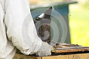 professional beekeeper in protective workwear inspecting honeycomb frame at apiary. beekeeper harvesting honey