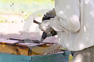 professional beekeeper in protective workwear inspecting honeycomb frame at apiary. beekeeper harvesting honey