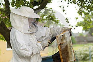 professional beekeeper in protective workwear inspecting honeycomb frame at apiary. beekeeper harvesting honey