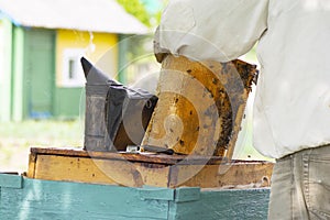 professional beekeeper in protective workwear inspecting honeycomb frame at apiary. beekeeper harvesting honey