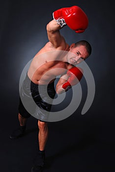 Professional boxer 2