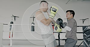 Professional boxers fighting in gym Asian man winning while Caucasian losing falling in ring