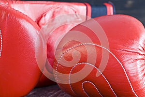 professional boxing gloves