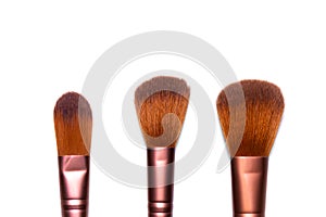 Professional brushes for applying women`s makeup.