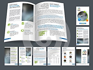 Professional business brochure, template or flyer.