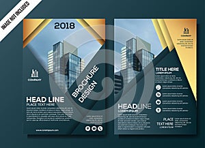 Professional Business flyer template vector illustration