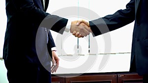Professional businessman making handshake for deal, agreement and successful concept