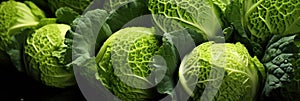 Professional Cabbages Texture For Background