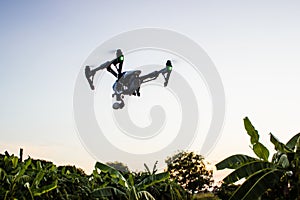 Professional camera drone flying