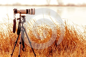 Professional camera with telephoto lens on a tripod during lands