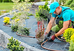 Plants Irrigation System photo