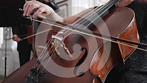 Professional cellist plays in slow motion, close-up strings of a cello