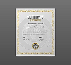 Professional certificate of appreciation. Template diploma with luxury and gold.