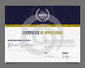 Professional certificate. Template diploma with luxury and modern pattern background. Achievement certificate