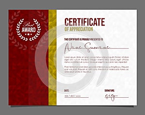 Professional certificate. Template diploma with luxury and modern pattern background. Achievement certificate