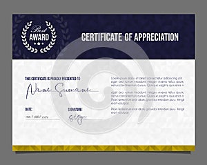 Professional certificate. Template diploma with luxury and modern pattern background. Achievement certificate