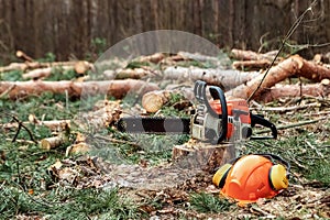 Professional chainsaw close up, logging. Cutting down trees, forest destruction. The concept of industrial destruction of trees,