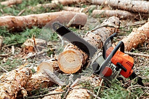 Professional chainsaw close up, logging. Cutting down trees, forest destruction. The concept of industrial destruction of trees,