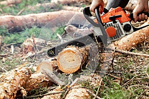 Professional chainsaw close up, logging. Cutting down trees, forest destruction. The concept of industrial destruction of trees,