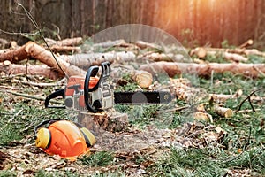 Professional chainsaw close up, logging. Cutting down trees, forest destruction. The concept of industrial destruction of trees,