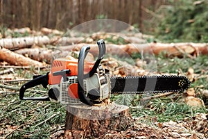 Professional chainsaw close up, logging. Cutting down trees, forest destruction. The concept of industrial destruction of trees,