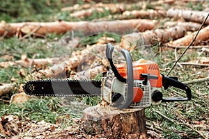 Professional chainsaw close up, logging. Cutting down trees, forest destruction. The concept of industrial destruction of trees,