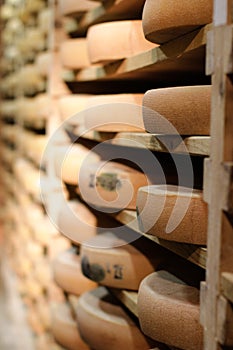 Professional cheese aging cellar for Comte cheese wheels, Jura, France