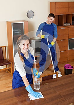 Professional cleaners