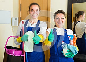 Professional cleaners with cleansers