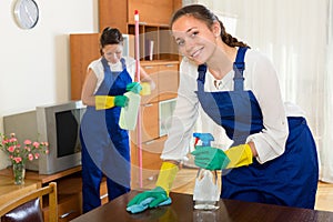 Professional cleaners make cleaning