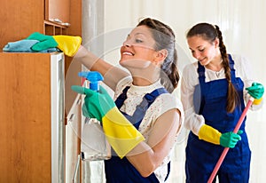 Professional cleaners make cleaning